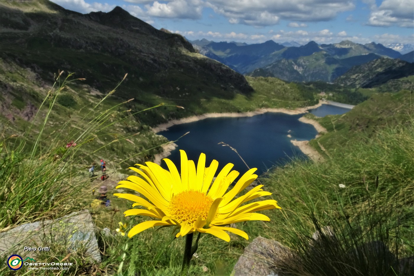 53 Vista sui Laghi Gemelli da fiore di Doronico del granito (Doronicum clusii).JPG